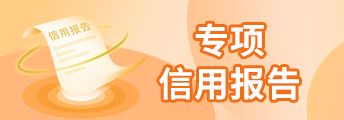 專項信用報告